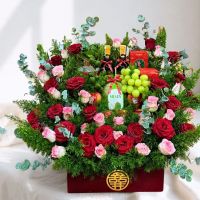 PHÚC LỢI FRUIT CHÀO MỪNG NGÀY 20/11